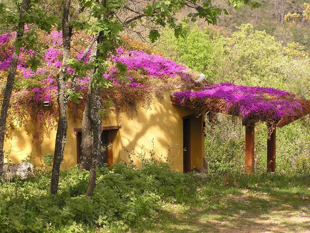 Apartamentos Rurales Ecopangea Valverde de la Vera Cameră foto